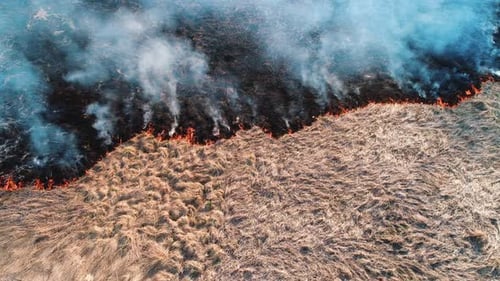 Forest and Field Fire. Dry Grass Burns, Natural Disaster. Aerial View. Shooting From a Small Height