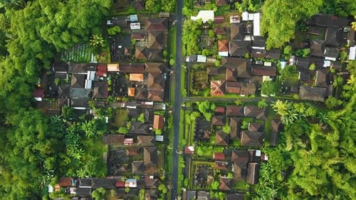 Amazing cinematic Ubud, Bali drone footage with exotic rice terrace, small farms, village houses and