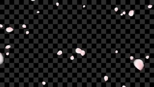 Falling Soft Pink Petals Overlay