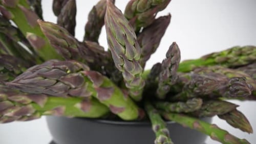 Asparagus 55