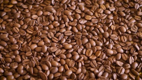 Close-up on Fragrant Brown Roasted Coffee Beans
