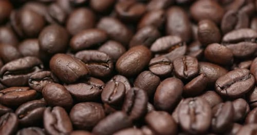 Roast coffee bean