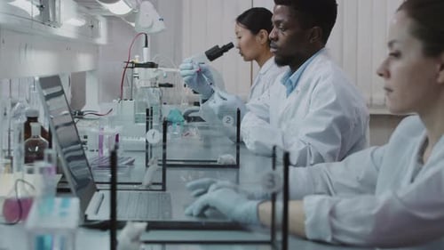 Scientists Work in Modern Laboratory Setting