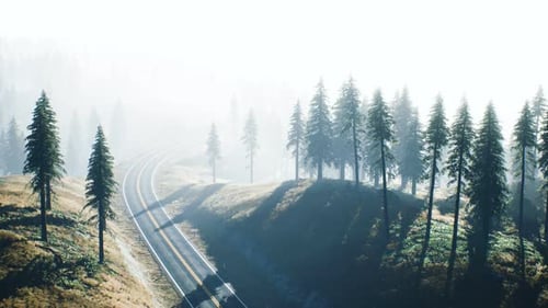 Route à travers la forêt de la taïga russe vue aérienne