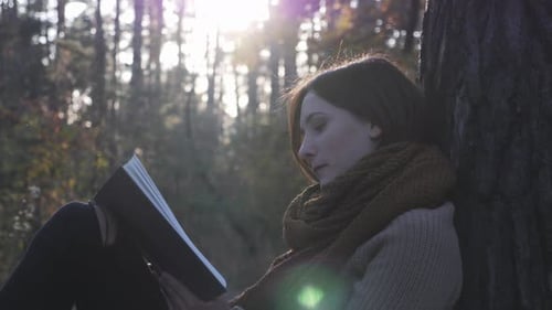 Joyeuse jolie femme brune voyageuse lisant un livre dans la forêt d'automne au coucher du soleil