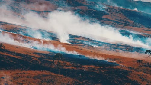 Wildes Feuer in den Bergen in Brasilien