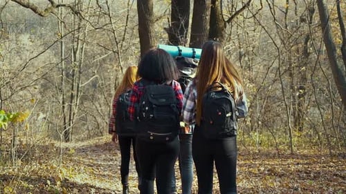 Young active tourists hiking in autumn forest on sunny day