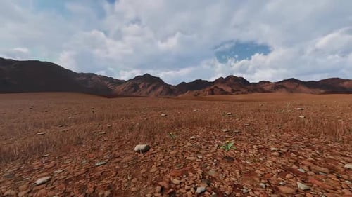Fly Over Desert