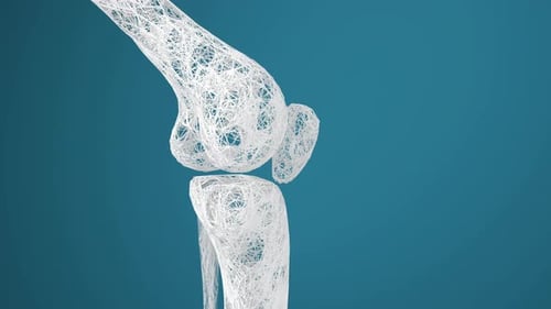 Abstract 3D Wireframe Human Knee Joint Anatomy Animation