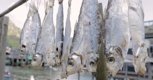 Salted fish hanging up to dry in Hong Kong fishing village