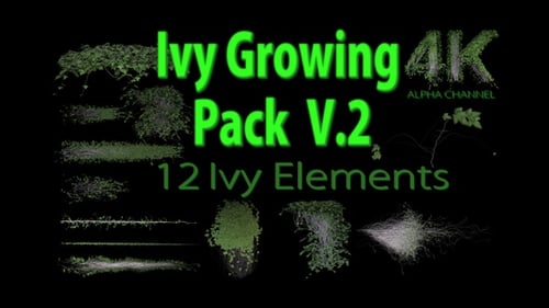 Alpha Channel Growing Ivy Vines Animation Pack