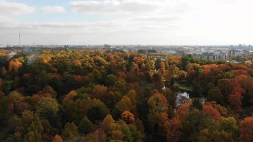 Aerial View of the Autumn City Park with Bright Trees with Yellow and Red Foliage