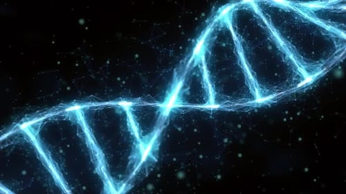 Dna Strand Double Helix
