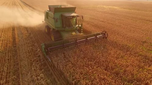 Combine on Golden Field.