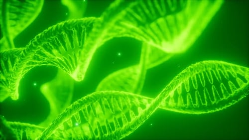 Futuristic Glowing Green DNA Strands Animation