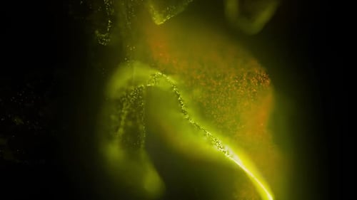 Glowing Fluid Particles Abstract Motion Background