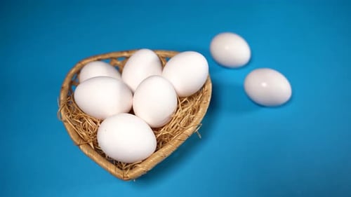Farm Raw Fresh White Chicken Egg in a Basket on a Blue Background