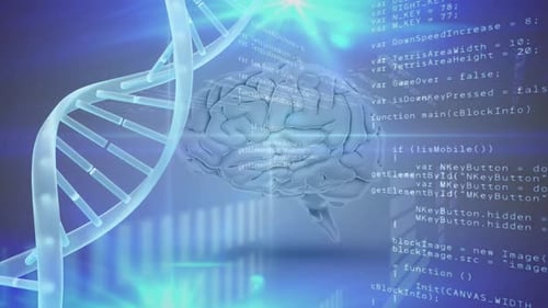 Brain with DNA helix and computer code