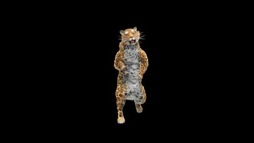 Realistic Leopard Dancing on Two Legs 3D Animation