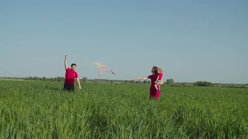 Family Flying Kite in Green Field on Sunny Day