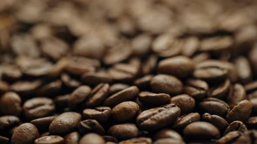 Coffee Beans for Background - Rec Focus, Extrem Close Up, Raw Video Record.