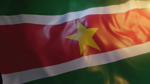 Suriname Flag