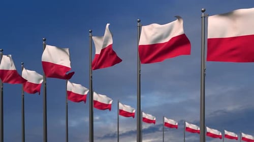 Realistic Waving Polish Flags Against Blue Sky