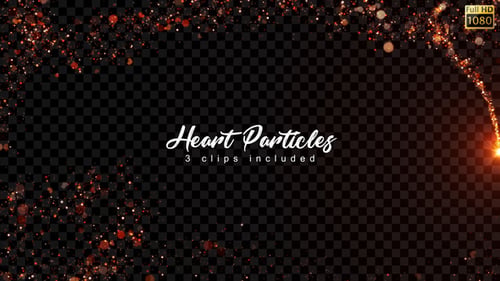 Heart Particles