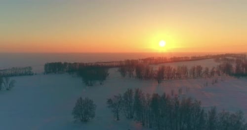 Aerial Drone View of Cold Winter Landscape with Arctic Field Trees Covered with Frost Snow and