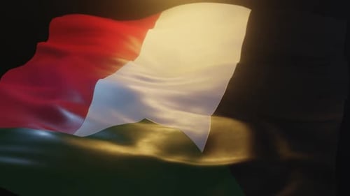 Realistic Palestine Flag Waving on Dark Background