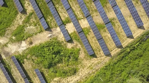 Aerial view of solar power plant field. Electrical photovoltaic panels for producing clean ecologic