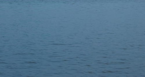 Water Ripples Gently in a Wide Shot