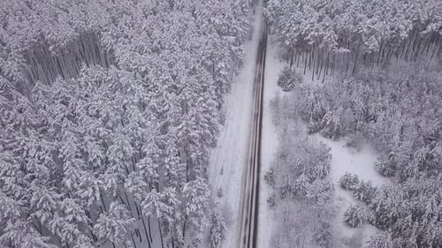 Aerial View of Snowy Forest with a Road. Captured From Above with a Drone.