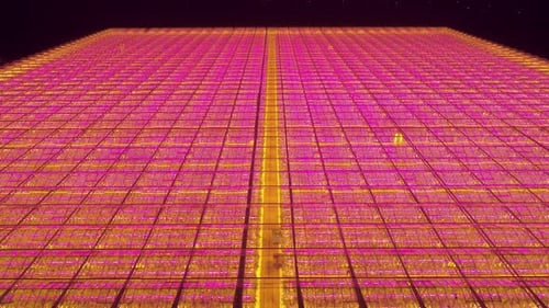 Greenhouse with LED lighting at night, Hoek van Holland, Netherlands