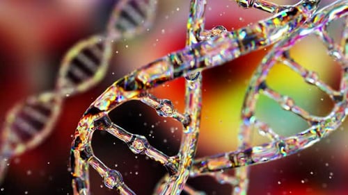 Colorful Fluid DNA Helix Rotation for Science and Medical Content