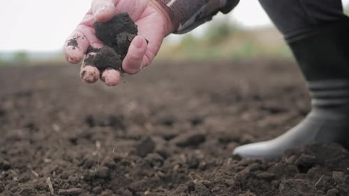 Soil and Agriculture