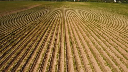 Aerial View of Farmland.