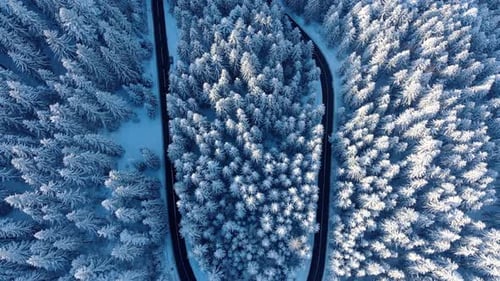 Curvy Windy Mountain Road In Snow Covered Forest