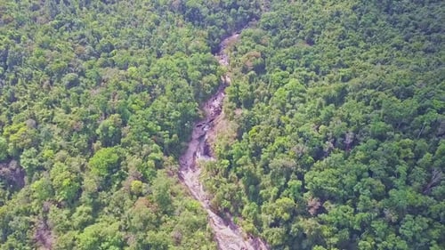 Panoramablick Grenzenlose Dschungel unter sengender Sonne