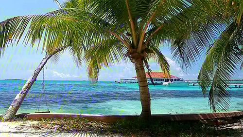Maldives In The Summertime