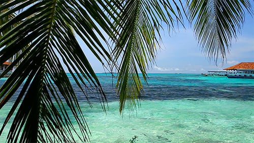 Video Postcard From Maldives