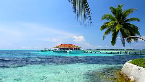 Exotic Maldives In The Summer