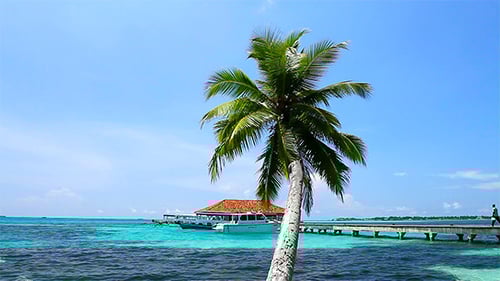 Maldives Landscape In Daylight
