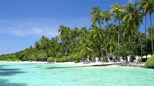 Beautiful Coast Of Maldives Island