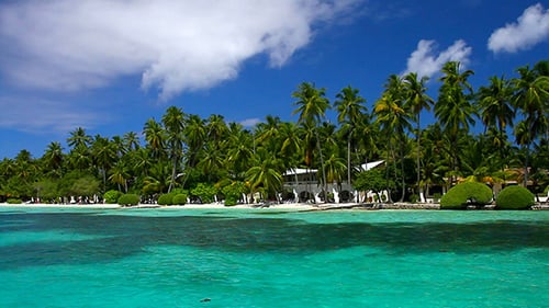 Exotic Paradise At Maldives