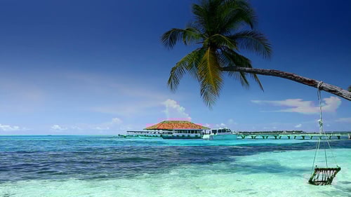 Tropical Paradise At Maldives