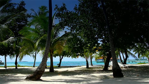 Tropical Paradise At Maldives