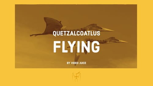 Realistic Flying Pterosaurs Animation Pack