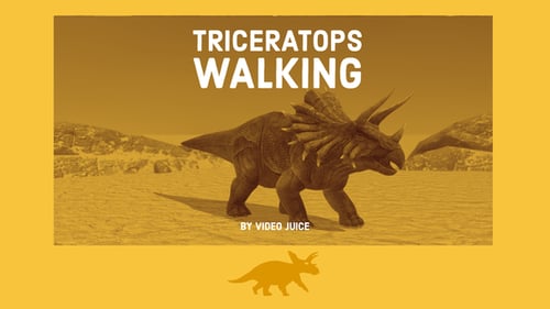 Realistic 3D Animated Triceratops Dinosaur Walking Cycle
