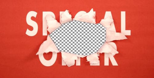 Grunge Paper Tear Reveal for Special Offer